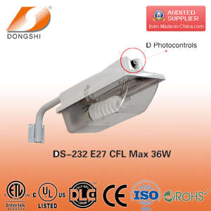 36W Energy Saving Village Ce RoHS Approved Street Light